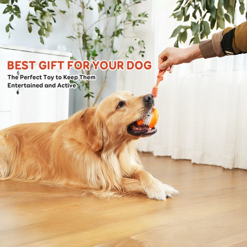 Kiorvyn – Keeping Your Fur Baby Relaxed, Happy & Content 🐶 & 🐱