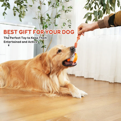 Kiorvyn – Keeping Your Fur Baby Relaxed, Happy & Content 🐶 & 🐱