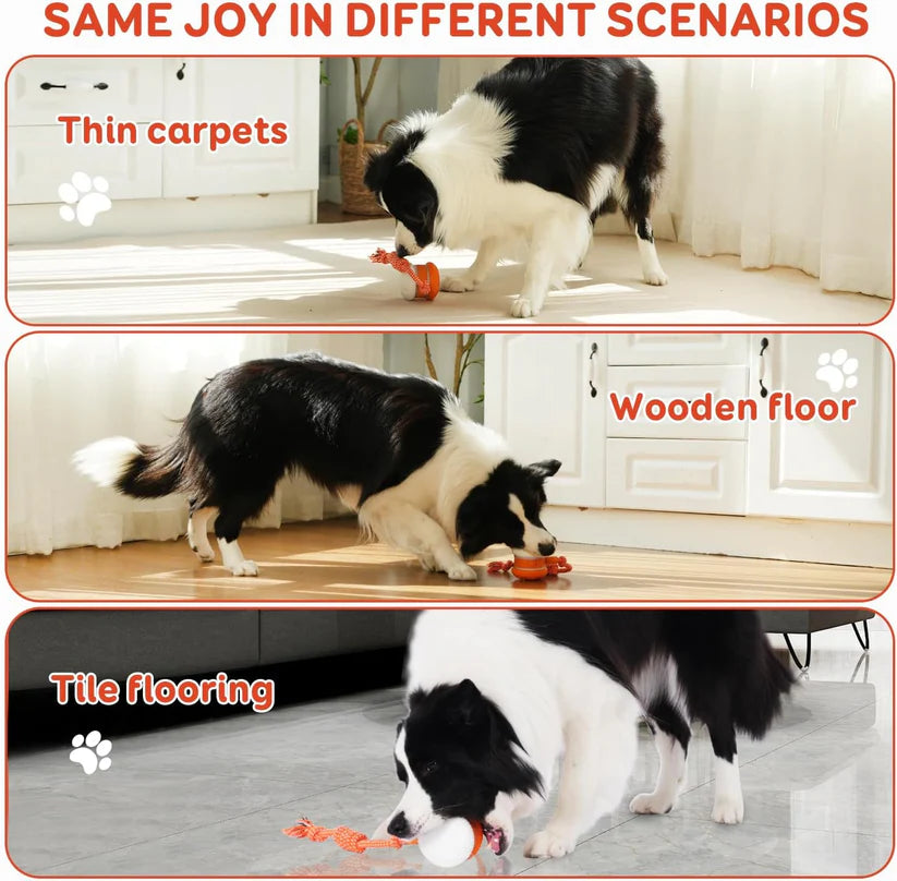 Firewheel Rope Dog Ball — Keeping Your Fur Baby Relaxed, Happy & Content 🐶 & 🐱