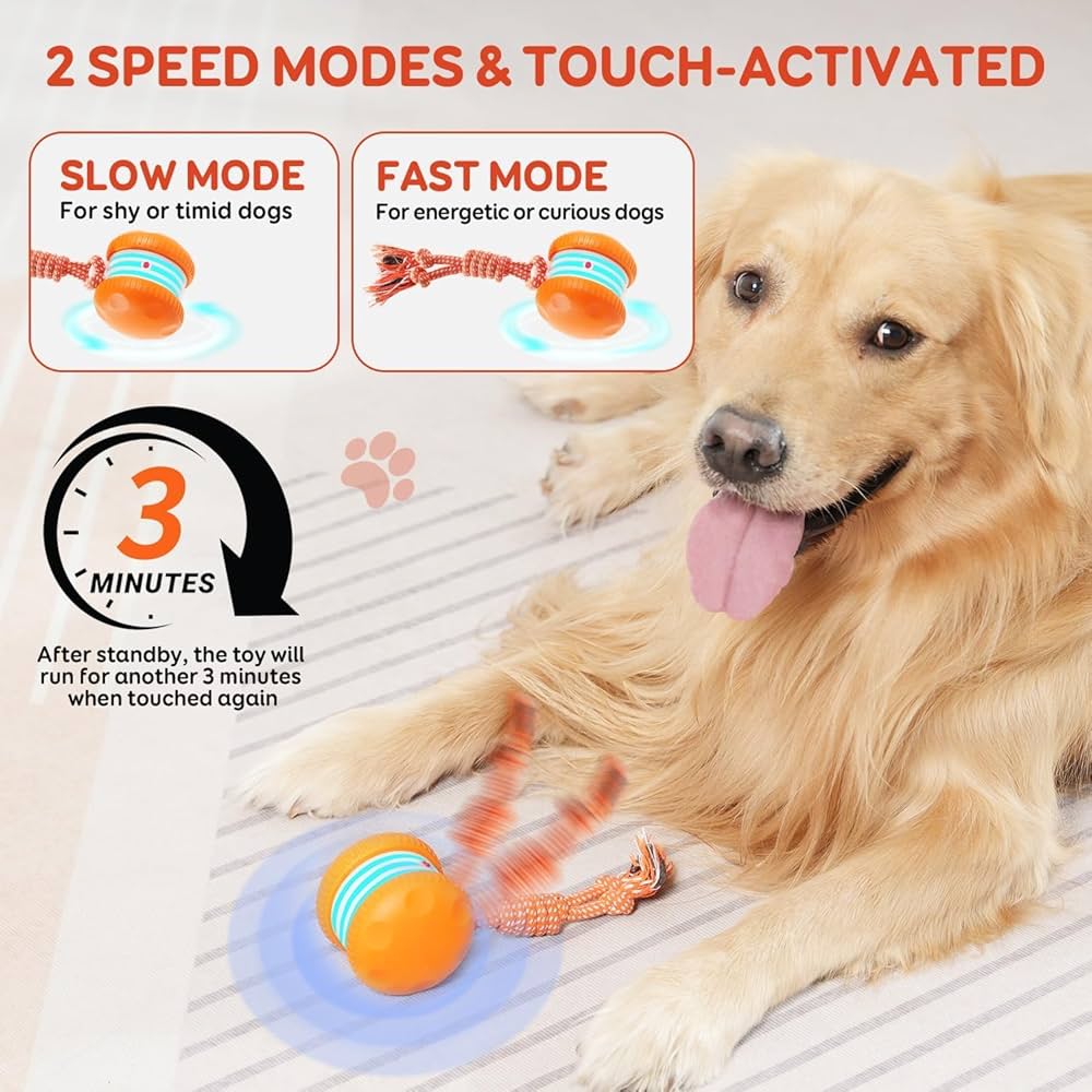 Kiorvyn – Keeping Your Fur Baby Relaxed, Happy & Content 🐶 & 🐱