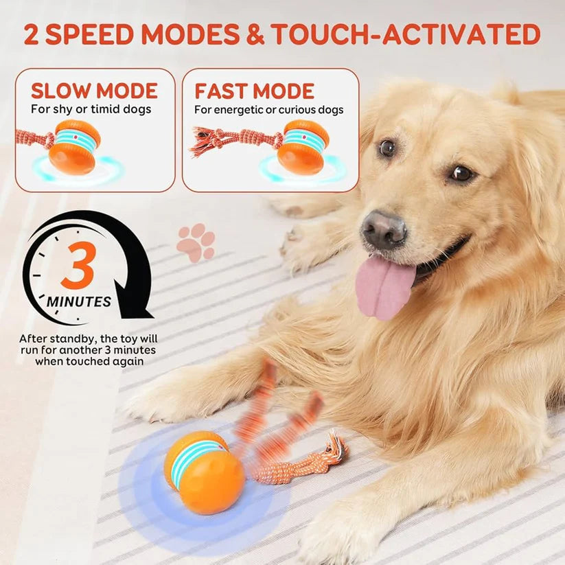 Firewheel Rope Dog Ball — Keeping Your Fur Baby Relaxed, Happy & Content 🐶 & 🐱