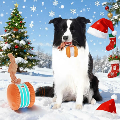 Kiorvyn – Keeping Your Fur Baby Relaxed, Happy & Content 🐶 & 🐱